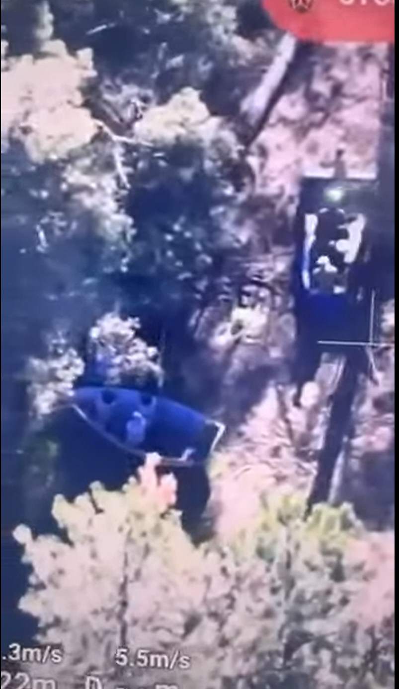 Рыбаки в лесу