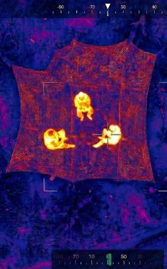 Привал караула между ПВД и ЛБС